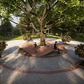 Tree Pit Landscape With Large Tree People Sitting And Flower Beds In Park Area