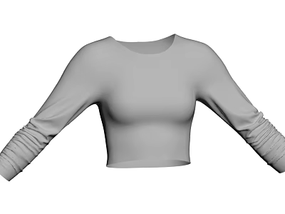 Gray Cropped Long Sleeve Top With Stretchy Fabric And Casual Design 3d model