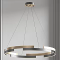 Modern Contemporary Chandelier With Gold Silver Metallic Ring Structure For Interior Lighting Decor 3d model