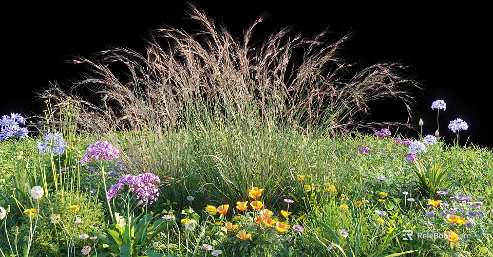 Vibrant Mixed Flowers And Ornamental Grass In Garden Meadow With Purple Yellow Blooms 3d model 