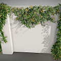 Lush Green Vines Climbing On White Wall With Dense Leaves And Shadows