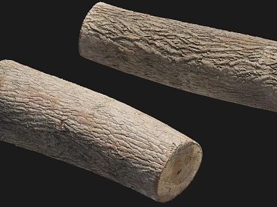 Natural Wood Logs With Rough Surface Texture And Organic Patterns 3d model