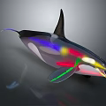 Colorful Orca Aquatic Animal With Vibrant Lights And Shiny Reflection Surface