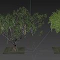 Landscape Tree Landscape Tree Model Tree Arbor Road Landscape Tree 3d model