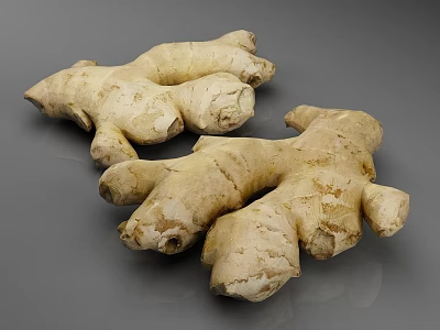 Whole Fresh Ginger Roots With Rough Skin Texture On Gray Background 3d model