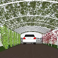 Vine Covered Canopy Over Driveway With White Car And Green Plant Walls