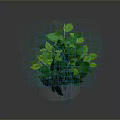 Green Plant With Lush Green Leaves In Metal Grid Planter Against Gray Background With Reflection