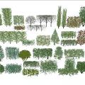 Various Types of Green Shrubs for Garden Landscaping and Decorative Use