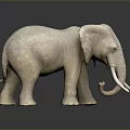Light Gray Elephant Sculpture Featuring Long Ivory Tusks Standing On Dark Background With Reflection