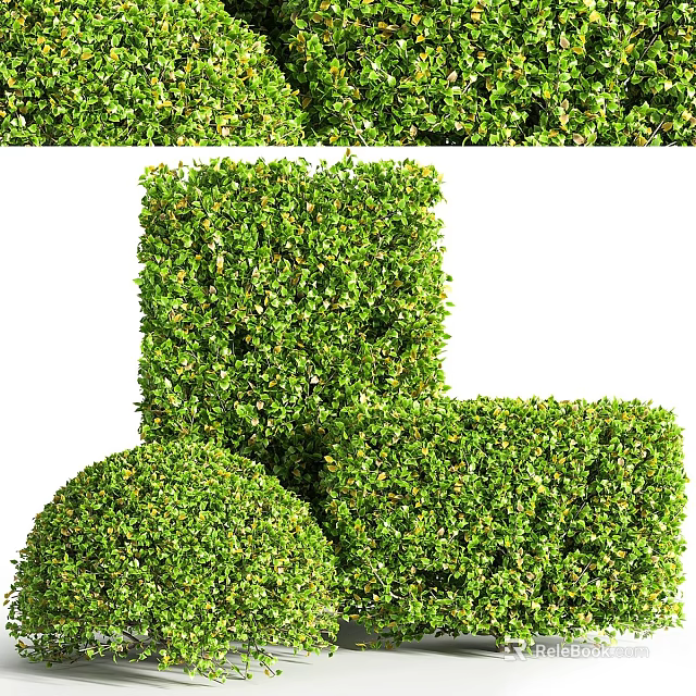 Green Well Trimmed Shrubs With Round And Square Shapes For Garden Landscape 3d model 