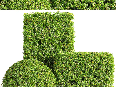 Green Well Trimmed Shrubs With Round And Square Shapes For Garden Landscape 3d model