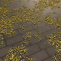 Autumn Landscape With Scattered Yellow Leaves On Gray Stone Tiles