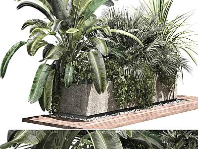 Potted Plants Arrangement with Various Green Plants in Stone Planter on Wooden Platform with Pebbles 3d model