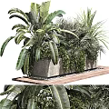 Potted Plants Arrangement with Various Green Plants in Stone Planter on Wooden Platform with Pebbles
