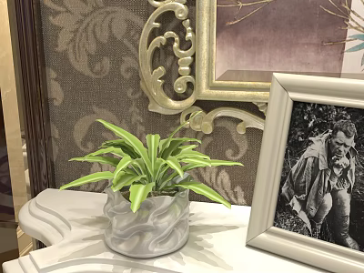Potted Bonsai Plant with Green Yellow Striped Leaves in Gray Textured Pot on White Table 3d model