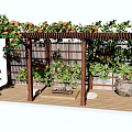 Wooden Pergola With Climbing Vines And Orange Flowers On Garden Wooden Deck