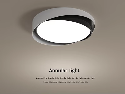 Modern Annular Ceiling Light With Sleek Design And Bright Light 3d model
