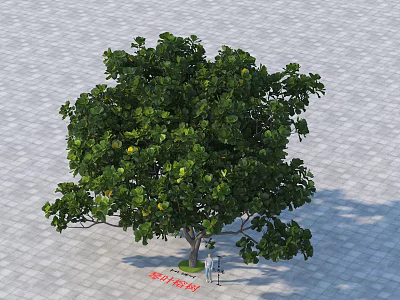 Lush Green Arbor With Dense Foliage And Yellow Fruits On Paved Ground 3d model