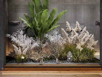 Tall Banana Leaf Plants And White Pampas Grass In Modern Indoor Decorative Garden Arrangement 3d model