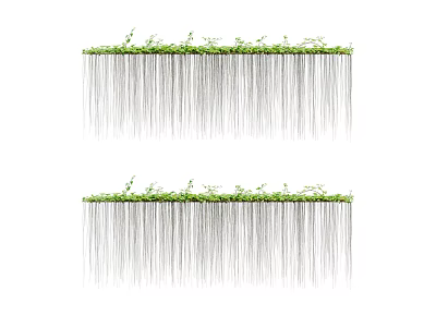Lush Hanging Vines With Green Foliage Arranged In Double Rows On White Background 3d model
