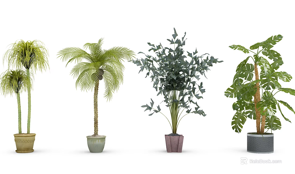 Various Indoor Potted Plants with Different Green Foliage and Colorful Ceramic Pots 3d model 