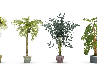 Various Indoor Potted Plants with Different Green Foliage and Colorful Ceramic Pots 3d model
