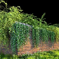 Lush Green Vines With Purple Flowers Covering Brick Wall Garden Decor