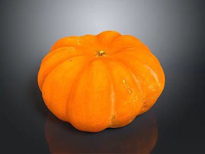 Fresh Healthy Ripe Orange Pumpkin Single Whole Vegetable on Dark Background 3d model