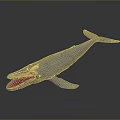 Blue Whale with Open Mouth Dorsal Fin and Pectoral Fins Against Dark Gradient Background