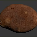 Fresh Orange Kiwano Melon With Honeycomb Textured Skin On Dark Background