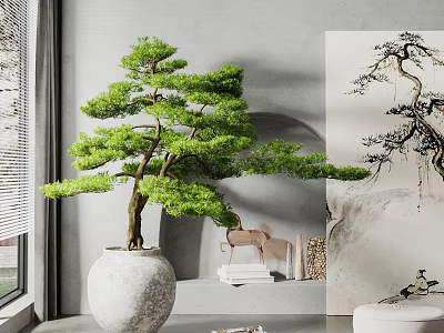 Elegant Indoor Bonsai Tree in White Ceramic Pot with Decorative Painting and Window Light 3d model