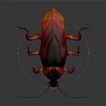 Red and black cockroach with long antennae on gray background in realistic lighting