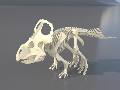 modern skeleton protoratops skeleton 3d model modern skeleton protoratops skeleton 3d model