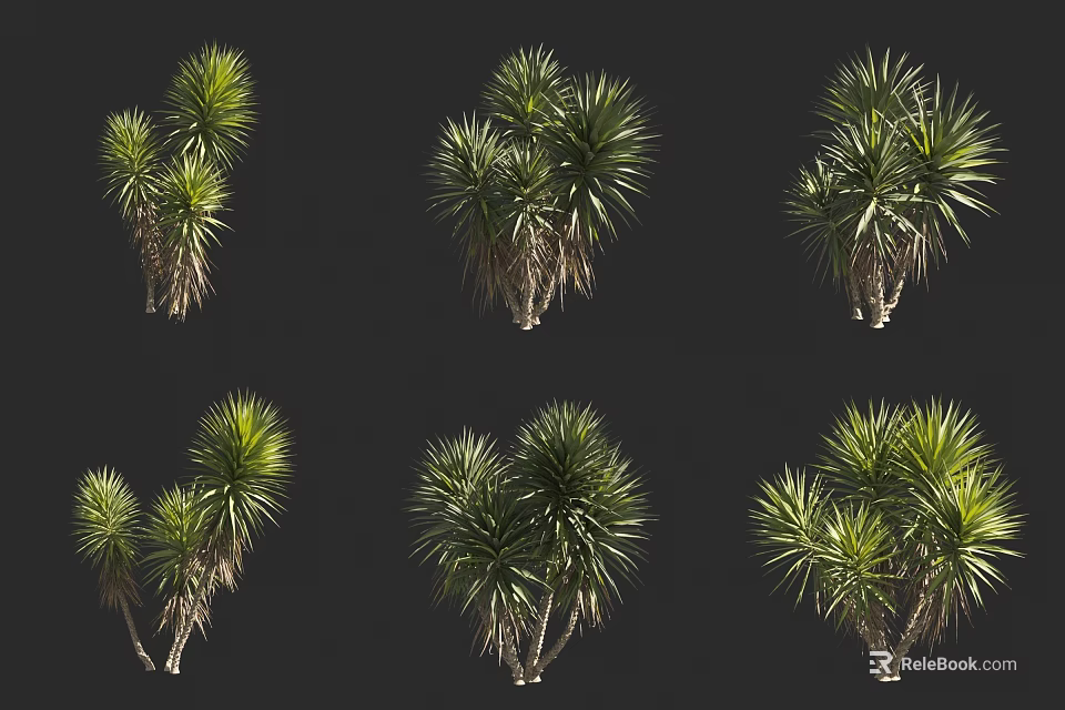 Trees With Lush Green Foliage And Trunks Displayed In Multiple Natural Shots 3d model 