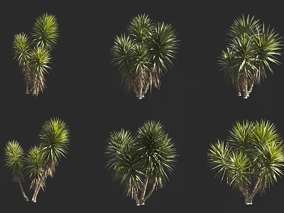 Trees With Lush Green Foliage And Trunks Displayed In Multiple Natural Shots 3d model