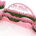 Pink Tulips Photo Spot With Arched Say Hello To A Flower Sign And Pink Pots