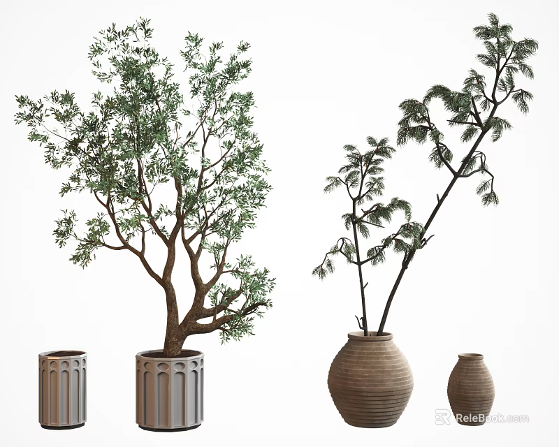 Various Bonsai Potted Plants With Different Tree Shapes And Decorative Pots 3d model