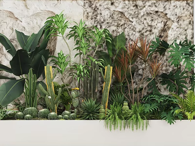Indoor Plant Combination With Cacti Ferns And Large Leafy Greenery On Wall Background 3d model