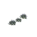 Decorative Ornament Set With Purple Flower Plants For Indoor Home Decor