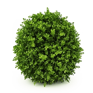 Round Shrub Landscape Shrub Outdoor Plant 3d model