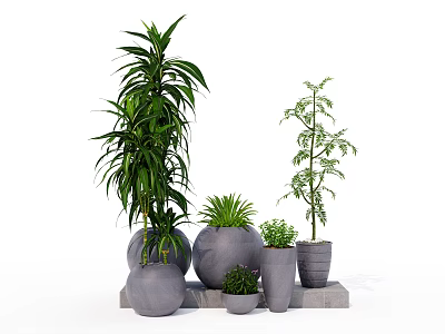 Green Leafy Bonsai and Potted Plants with Gray Ceramic Pots on Stone Stand 3d model