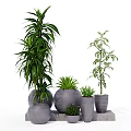 Green Leafy Bonsai and Potted Plants with Gray Ceramic Pots on Stone Stand