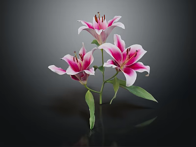 Pink and White Lilies in Vase with Green Leaves on Dark Background 3d model
