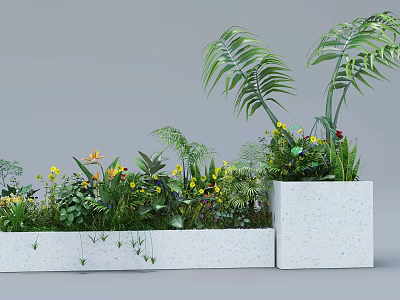 Lush Green Plants in White Concrete Planters with Mixed Ferns and Yellow Flowers 3d model