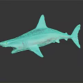 Detailed Blue Shark Model with Open Mouth White Underbelly on Dark Background with Reflection