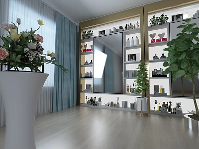 Stylish Interior Design Display Area With Decorative Shelves Green Plants And Large Mirror 3d model