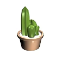 Green Cactus Like Potted Bonsai Plant With Brown Pot And White Substrate
