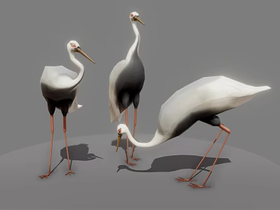 Three Flying Cranes With White And Gray Plumage Long Legs And Different Postures 3d model