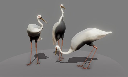 modern red-crowned crane 3d model