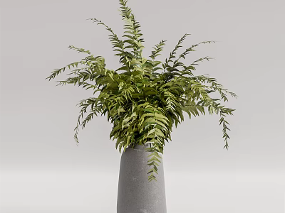 Minimalist Gray Vase With Fresh Green Ferns For Home Interior Decor 3d model